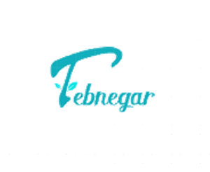 Tebnegar Logo